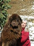 Newfoundland